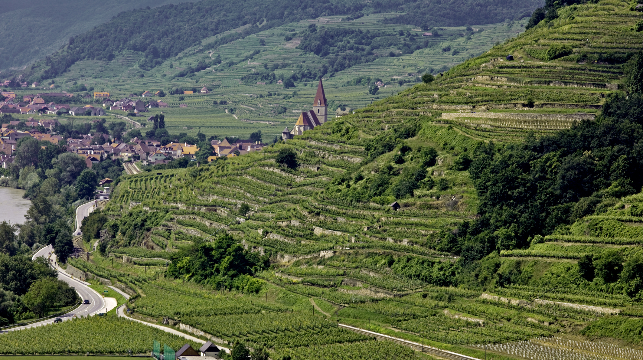 panorama de la Wachau. Source : Wikimedia Commons. Auteur : Monika Löff. Licence :Creative Commons 3.0 Unported