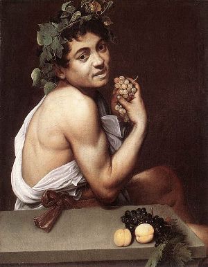 les abricots de la Wachau
